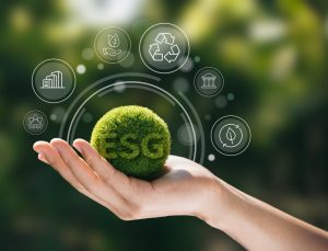 Gürmen Group, İlk Sürdürülebilirlik Raporunu Yayımladı