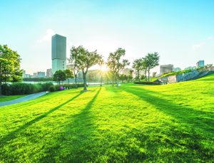 Legrand Türkiye Grubu, Sürdürülebilir Yaşam Alanları için Akıllı Teknolojiler Geliştiriyor