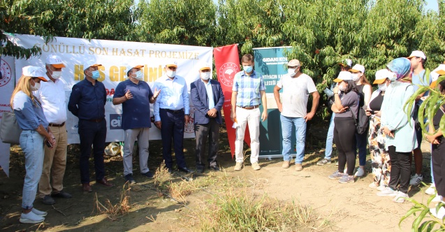 Dalındaki Şeftaliyi Hasat Edip İhtiyaç Sahiplerine Yolladılar