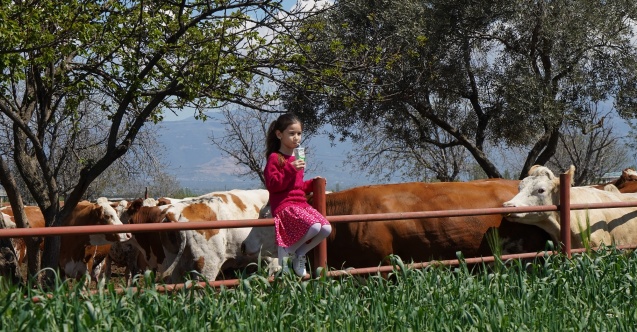 Pınar Süt’te Hedef 2050’de Karbon – Nötr Olmak
