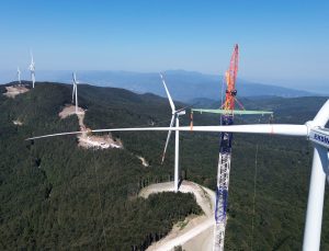 Eksim Enerji Temiz Enerji YatırımlarındaYaban Hayatını Koruyor