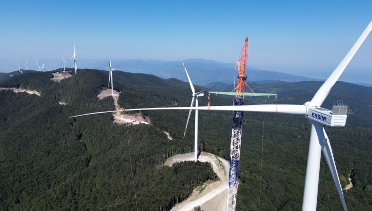 Eksim Enerji Temiz Enerji YatırımlarındaYaban Hayatını Koruyor