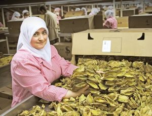 EİB’den Tarım Ürünleri İhracatı 7,5 Milyar Doları Aştı