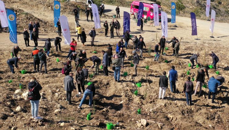 ‘Her Fidan Bir Umut’ Projesiyle 1 Milyon Fidan Toprakla Buluştu