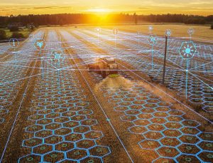 Macaristan, Tarım Teknolojileriyle Agroexpo 2025’te Yerini Alıyor