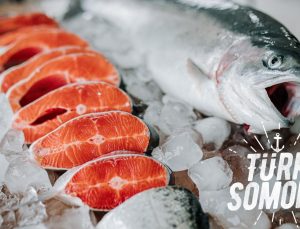 Türk Somonu İhracatı 5 Yılda 17 Kat Arttı