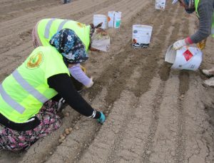 Kadınların Gücüyle Yeşeren Ormanlar