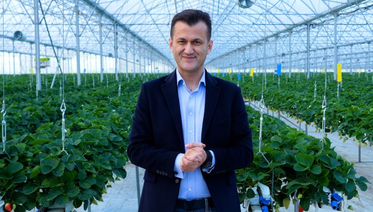 Türkiye’nin En Yüksek Teknolojili Çilek Serası Yılda 450 Ton Çilek Üretim Kapasitesine Ulaştı