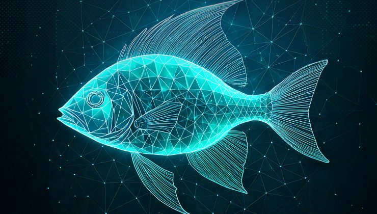 ESET Küresel Casusluk Operasyonunu Ortaya Çıkardı