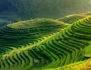 EY, Türkiye Yeşil Hidrojen Analizini Yayımladı