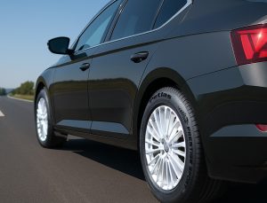 Petlas Bayramda Yola Çıkacakları Uyarıyor