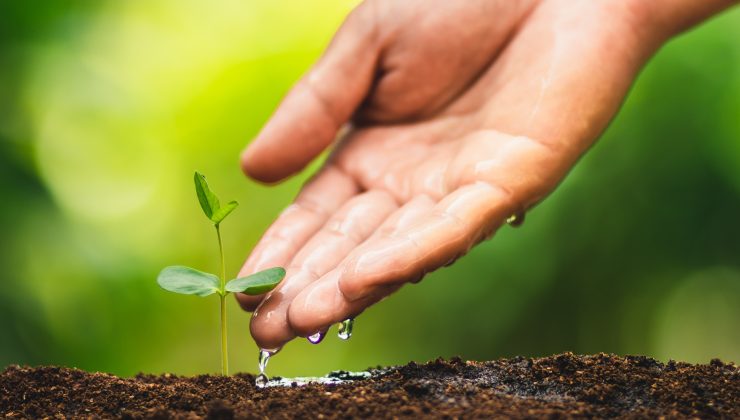 Pınar Su ve İçecek, 2030’a Kadar Karbon Emisyonlarını Yüzde 20 Azaltacak