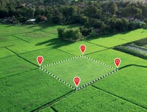 Gayrimenkul Sektöründe Yeni Trend: Arsa ve Tarla Yatırımları Yükselişte