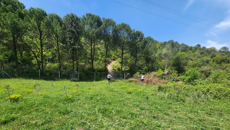 Polisan Holding 35 Yıl Önce Dilovası’na Diktiği 93.500 Ağacı Korumaya Devam Ediyor