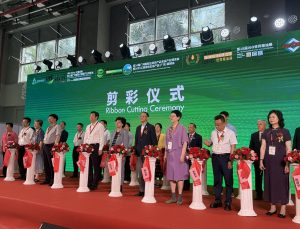 Türk Zeytin ve Zeytinyağı Sektörü Çin Pazarında Vitrine Çıktı