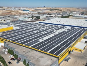 Artemis Halı’dan 31 Milyon TL’lik Yatırımla 61.924 Ağaçlık Ekolojik Katkı