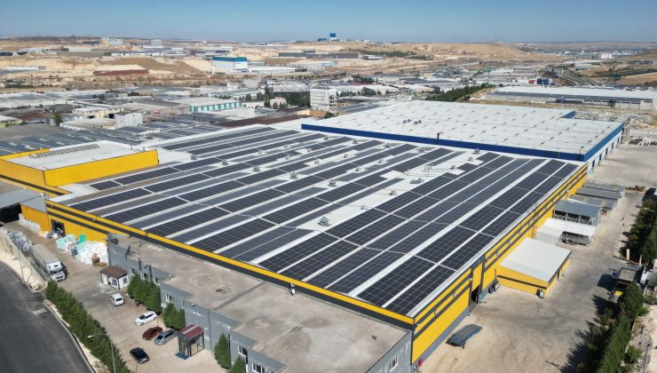Artemis Halı’dan 31 Milyon TL’lik Yatırımla 61.924 Ağaçlık Ekolojik Katkı