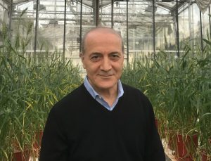 Ülker ve Sabancı Üniversitesi Buğday İçin Ele Ele Verdi