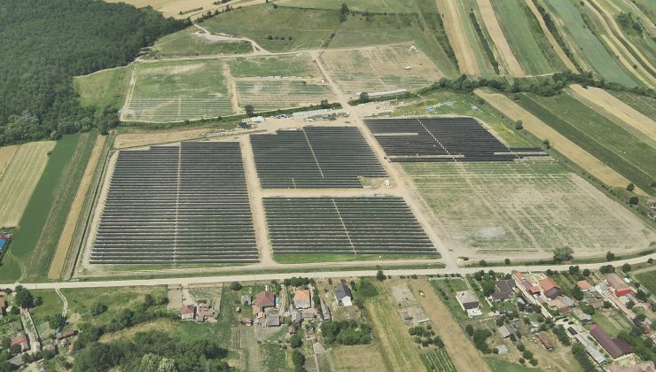 YEO Teknoloji’den Dünyaya 2.5 Milyon Ağaç Kadar Nefes