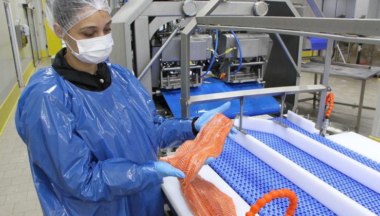 Su Ürünleri İhracatın Yeni Yıldızı Türk Somonu İçin 4 Dilde Tanıtım Filmi Hazırlandı