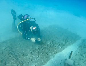Mavi Nefes Projesi’nden Türkiye’de Bir İlk