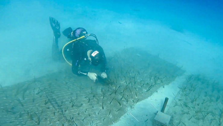 Mavi Nefes Projesi’nden Türkiye’de Bir İlk