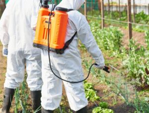 10 İlimizdeki Pestisit Kullanımı Dünya Ortalamasının Çok Üzerinde
