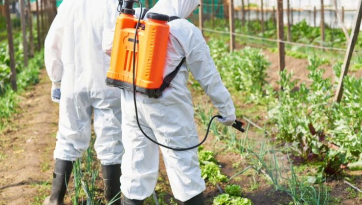 10 İlimizdeki Pestisit Kullanımı Dünya Ortalamasının Çok Üzerinde