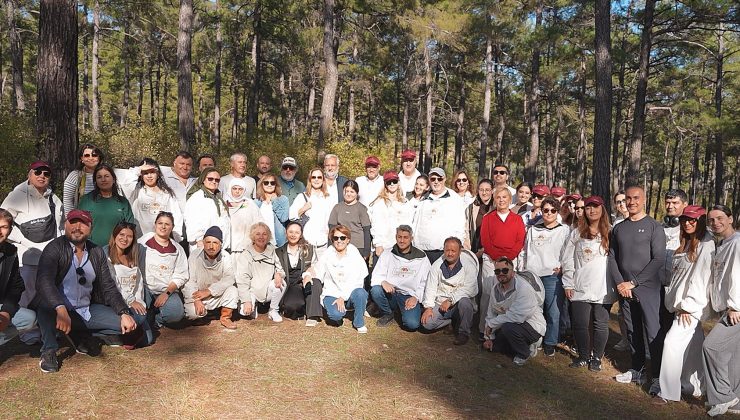 Türk Çam Balı Coğrafi İşaretle Dünyaya Açılmaya Hazırlanıyor