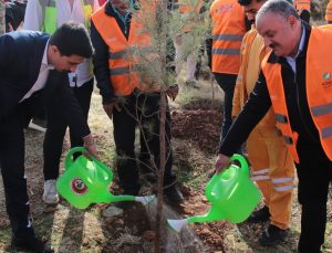 DEPSAŞ Enerji’den Makam Dağı’na 3 Bin Fidanlık Yeşil Dokunuş