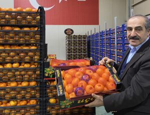 Mandalina İhracatı Tarih Yazıyor