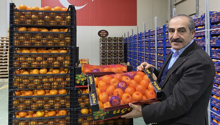 Mandalina İhracatı Tarih Yazıyor