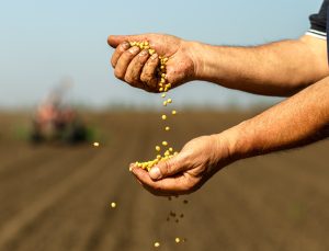 Ege Bölgesi’nin Tarım Ürünleri İhracatı 7,5 Milyar Doları Aştı