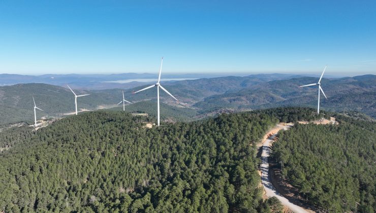Enerjisa Üretim, Türkiye’de Rüzgârda 1.000 MW’a Ulaşan İlk Şirket Oldu