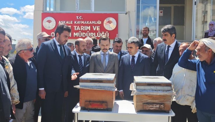 Akfen Yenilenebilir Enerji’den Üreticilere Yüzde 70 Hibeli Arılı Kovan Desteği