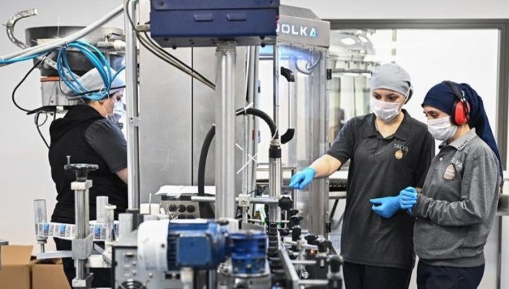 6 Milyon Dolarlık Yatırımla Yerli Ham Madde Atağı