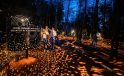 Karnaval medya sponsorluğunda Astra Lumina ile yıldızlarla çevrili büyüleyici bir gece yürüyüşü