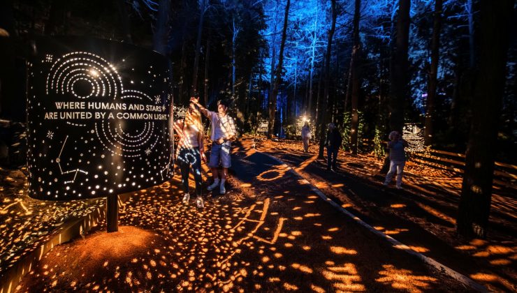 Karnaval medya sponsorluğunda Astra Lumina ile yıldızlarla çevrili büyüleyici bir gece yürüyüşü