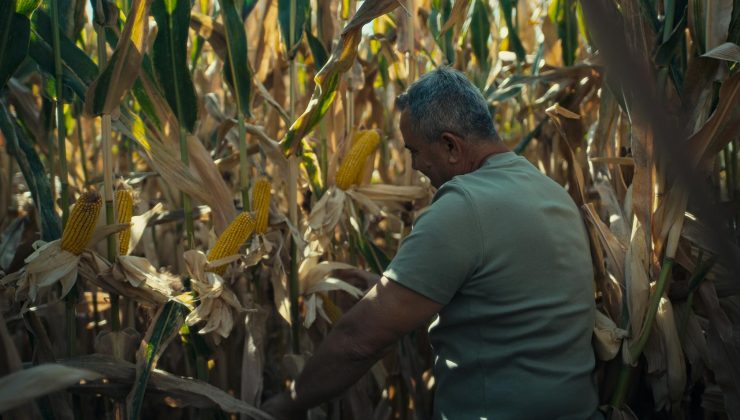 Pepsico Türkiye’nin bir damla bir dünya projesi Tekirdağ’da devam ediyor